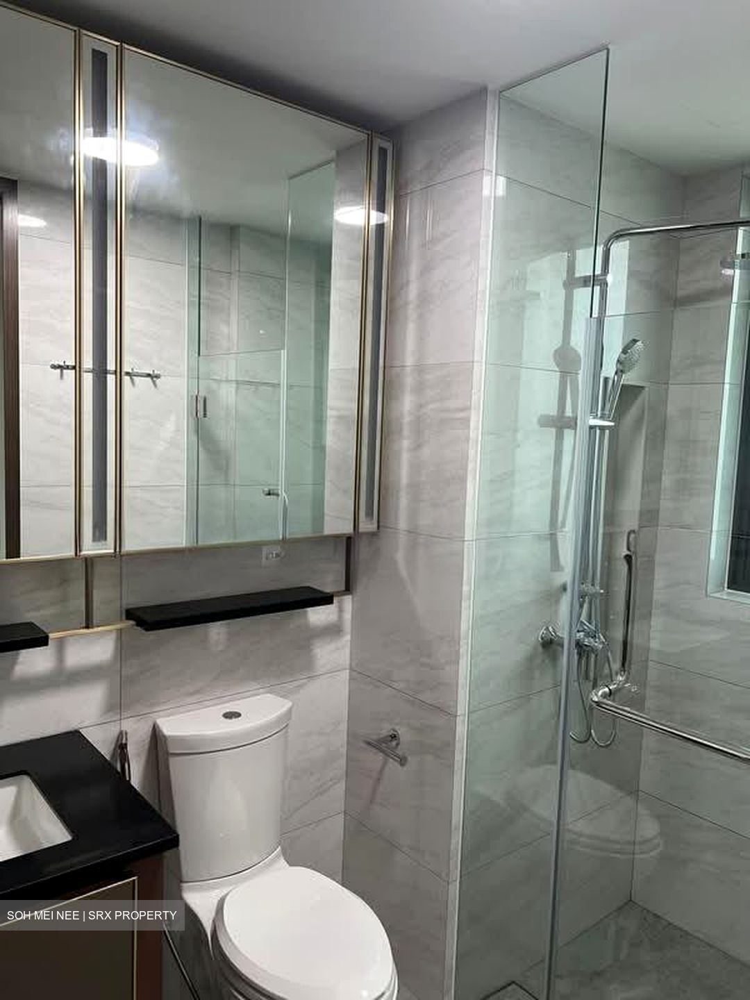 Normanton Park (D5), Apartment #582284831